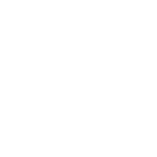Moedin.IA